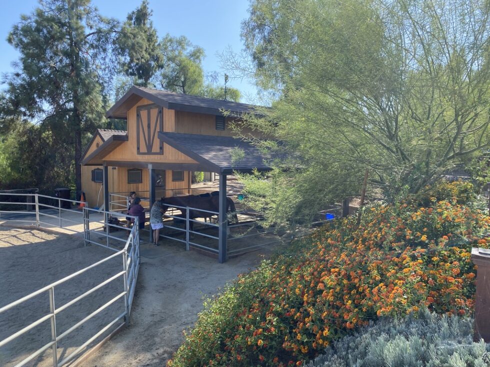 The Best Widows Support and Grief Retreat 2024